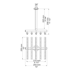VOLA Regendouche voor plafondmontage 250x215mm 050A