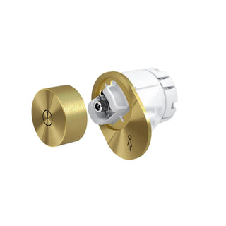 LAUFEN Cleanet Riva losse knop controller en zij-element Goud Mat Art. H8956981650001