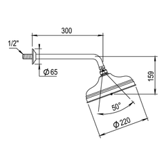 Horus hoofddouche Ø220 mm met wandarm 300 mm